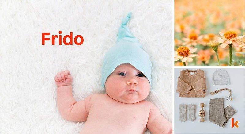 Meaning of the name Frido