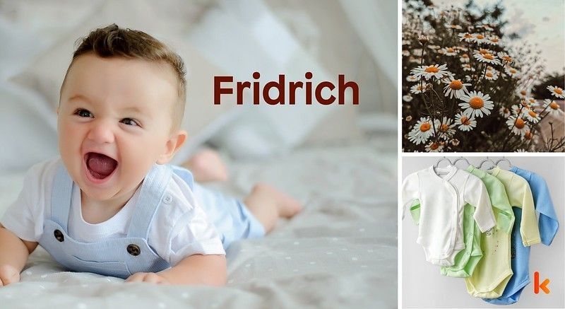 Meaning of the name Fridrich