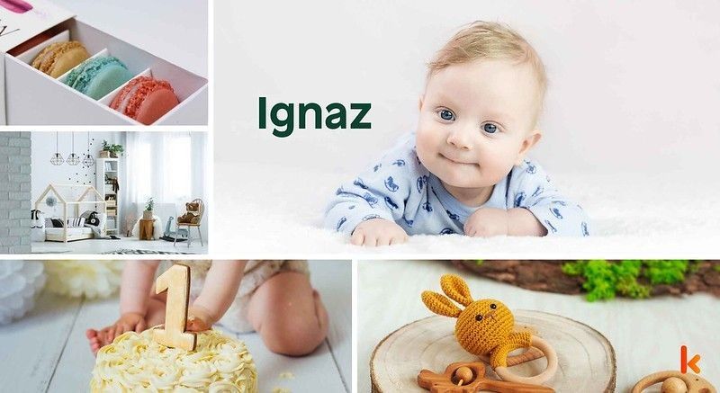 Meaning of the name Ignaz