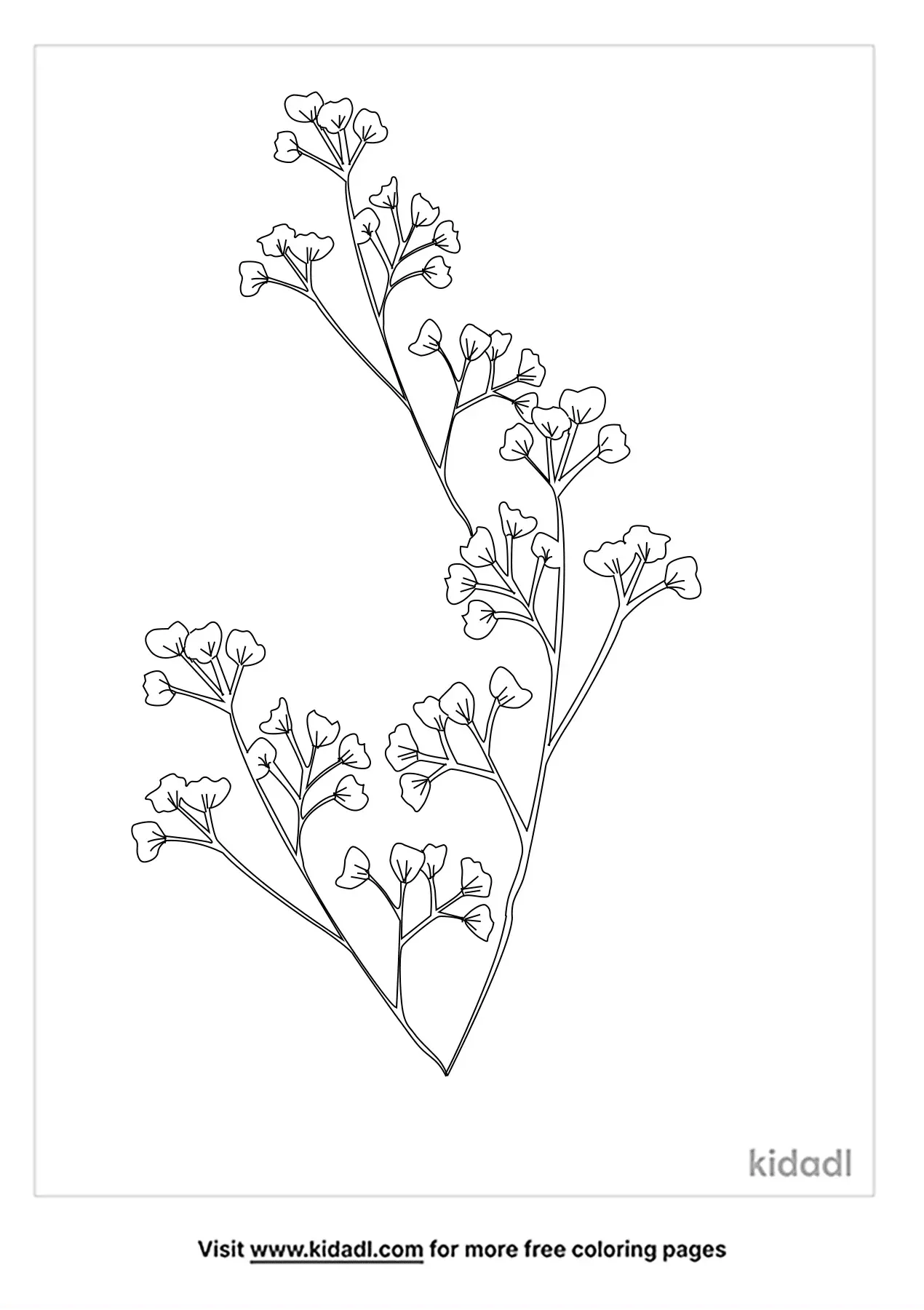 423 Babys Breath Flower Drawing Images, Stock Photos & Vectors |  Shutterstock