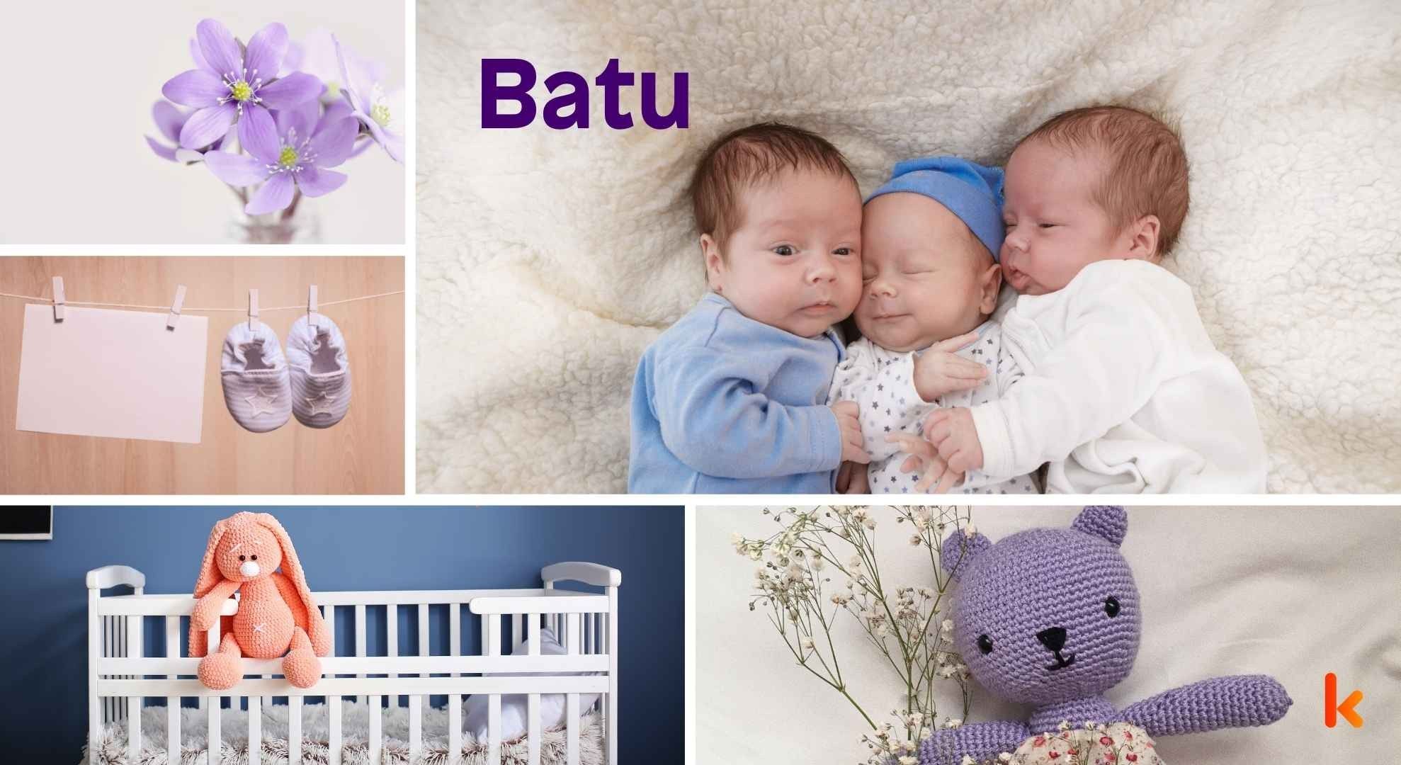 Meaning of the name Batu