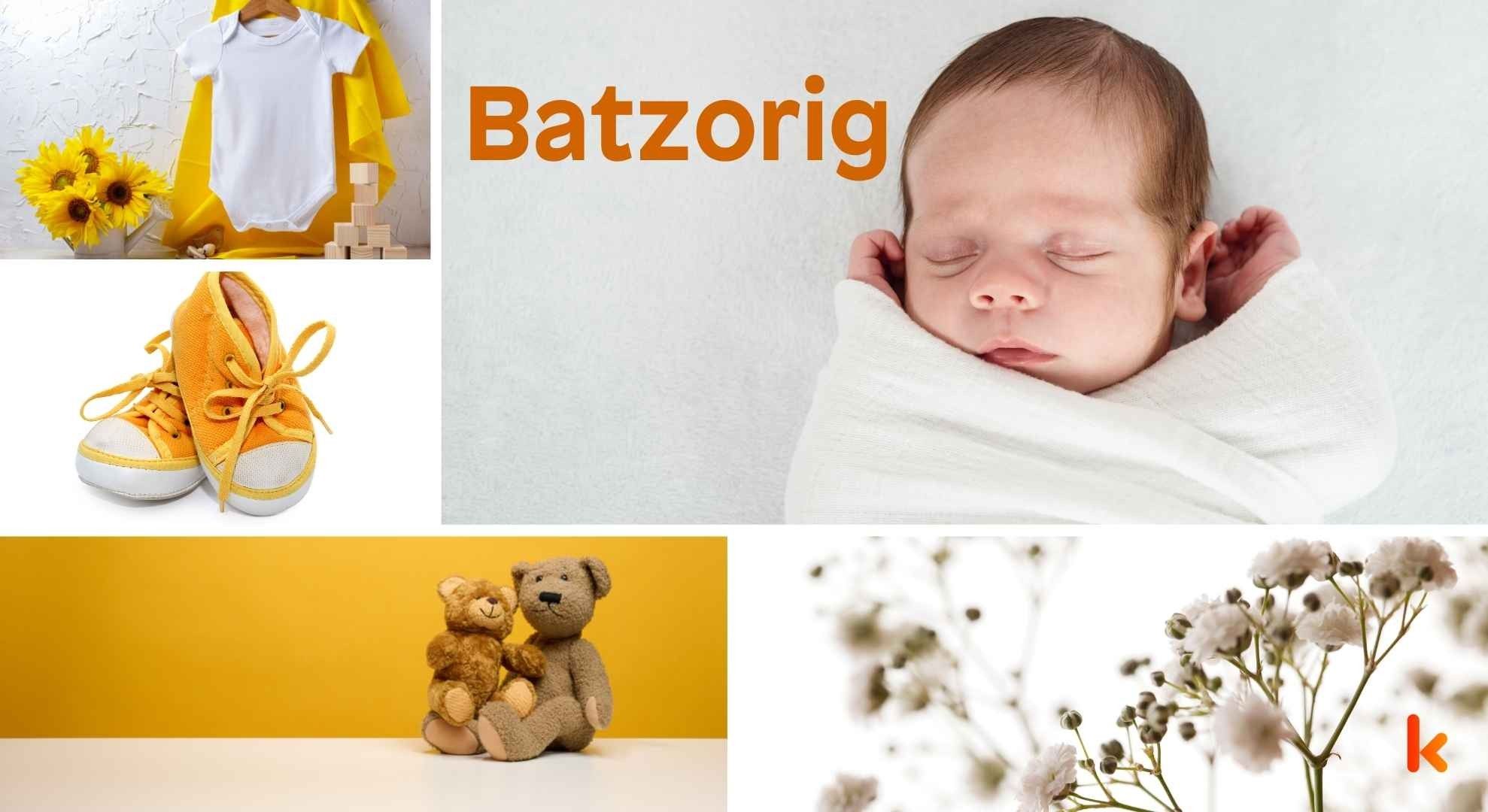 Meaning of the name Batzorig