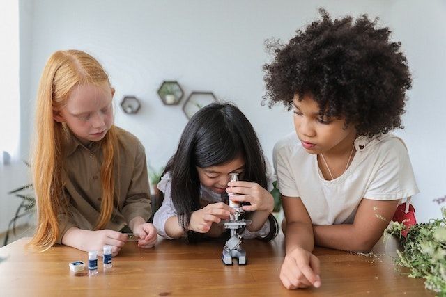 3 girls working on a biology project 