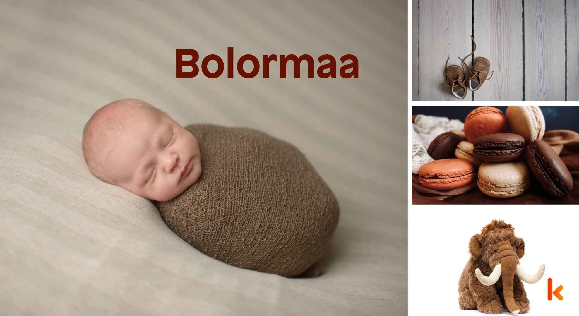 Meaning of the name Bolormaa