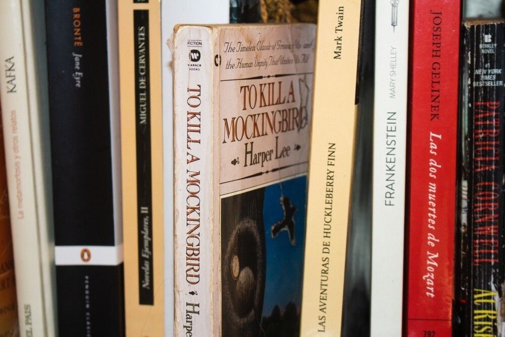 The book 'To kill a Mockingbird' placed among some other books on a book shelf