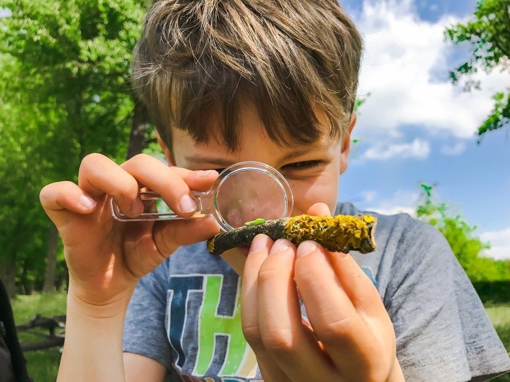 Boy with magnifying glass looking at a small green bug outdoors in a park