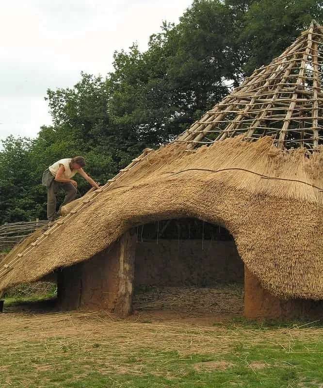 Person making and building the thatched roof on an Iron Age roundhouse.