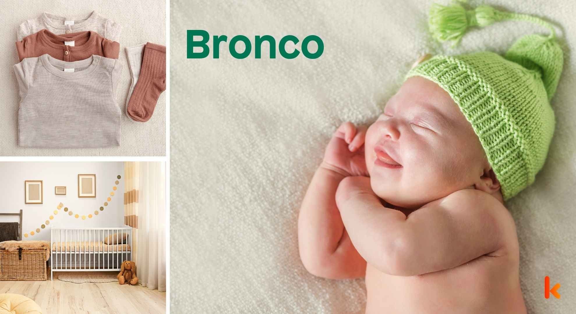Meaning of the name Bronco