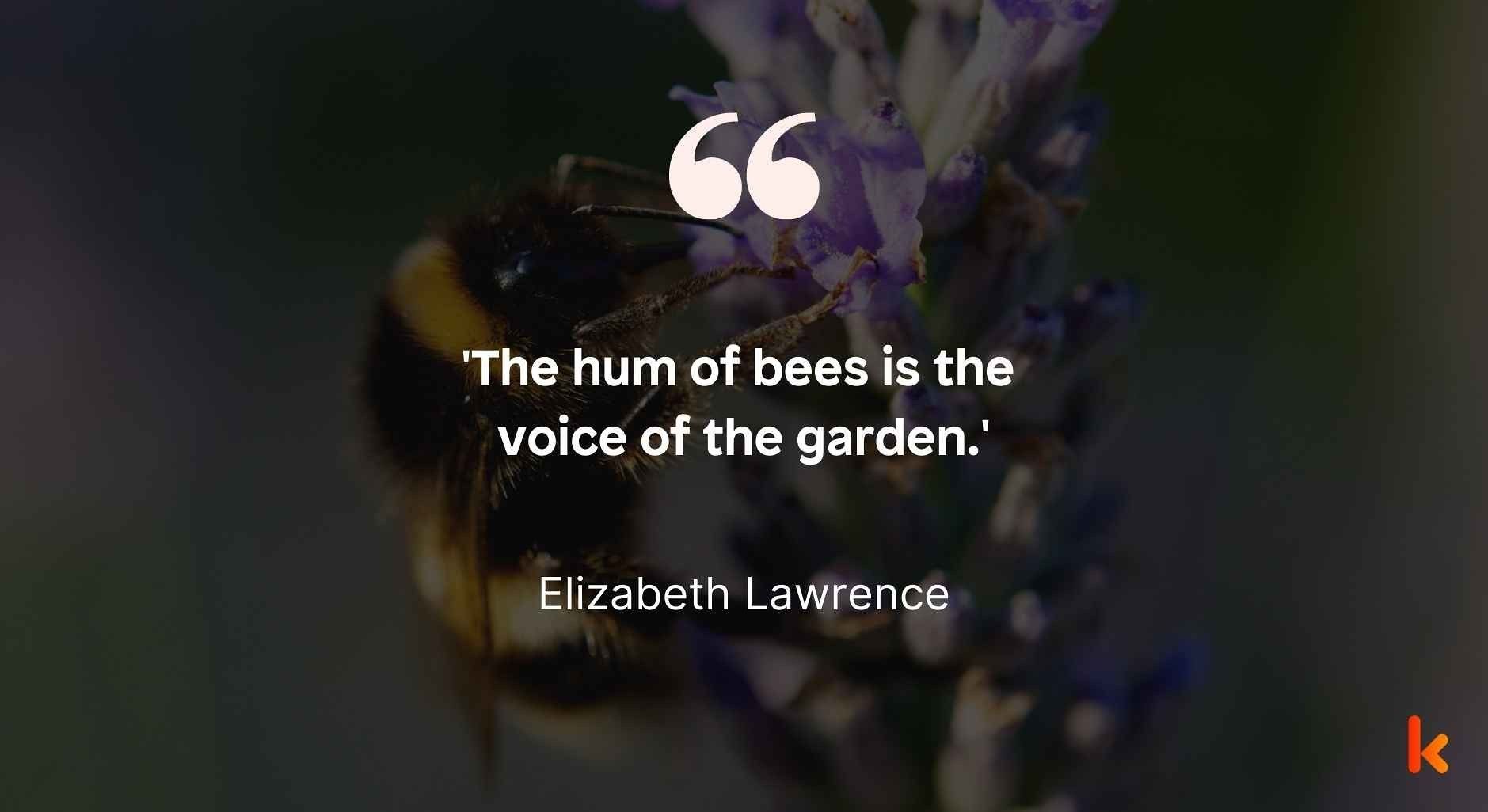 Bumblebee quote by Elizabeth Lawrence