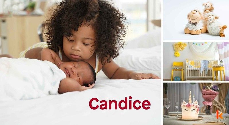 Meaning of the name Candice
