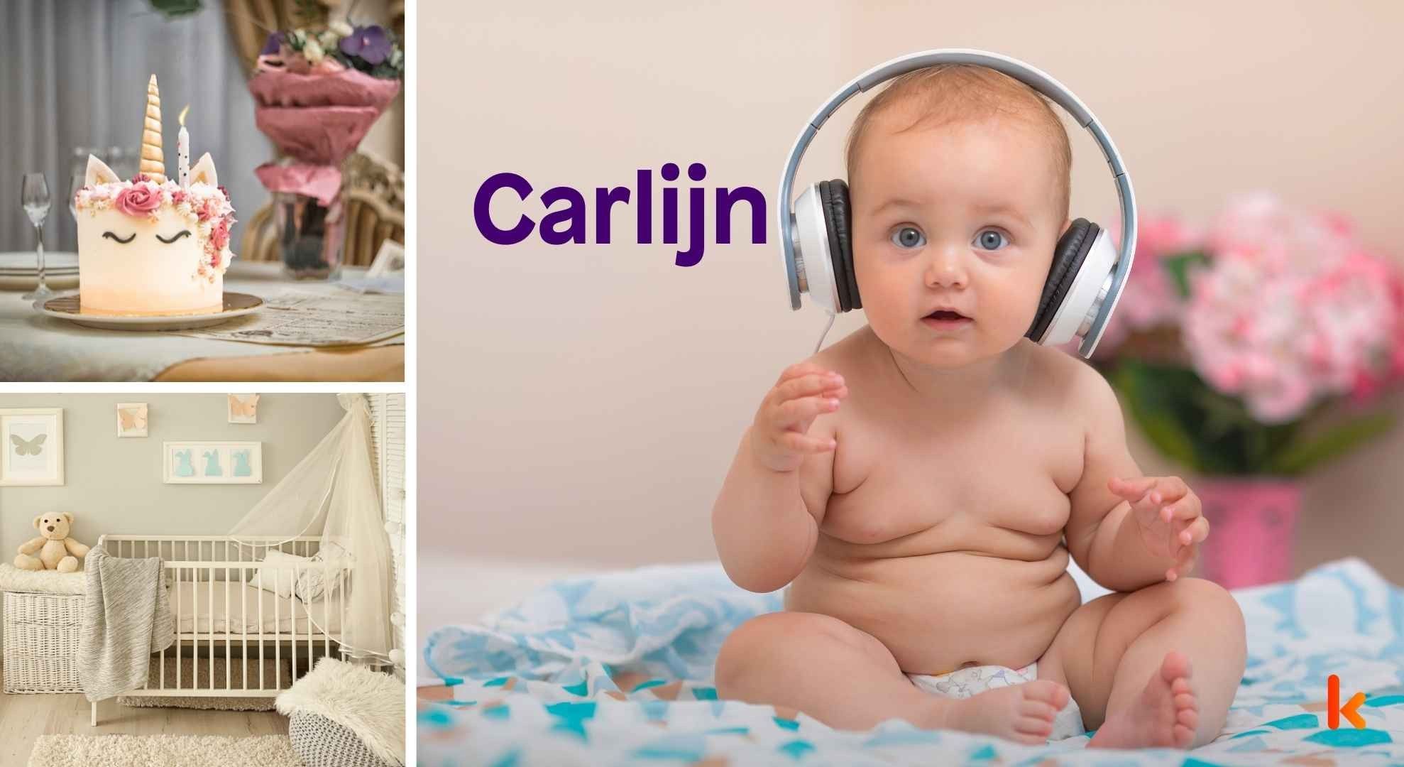 Meaning of the name Carlijn