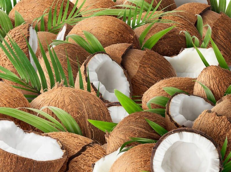Fresh raw coconut with palm leaves.