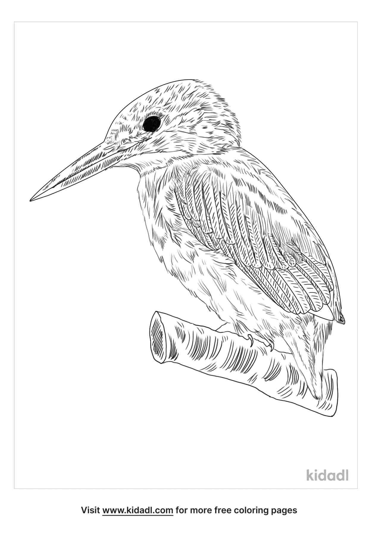 Enjoy coloring this Common Kingfisher bird.