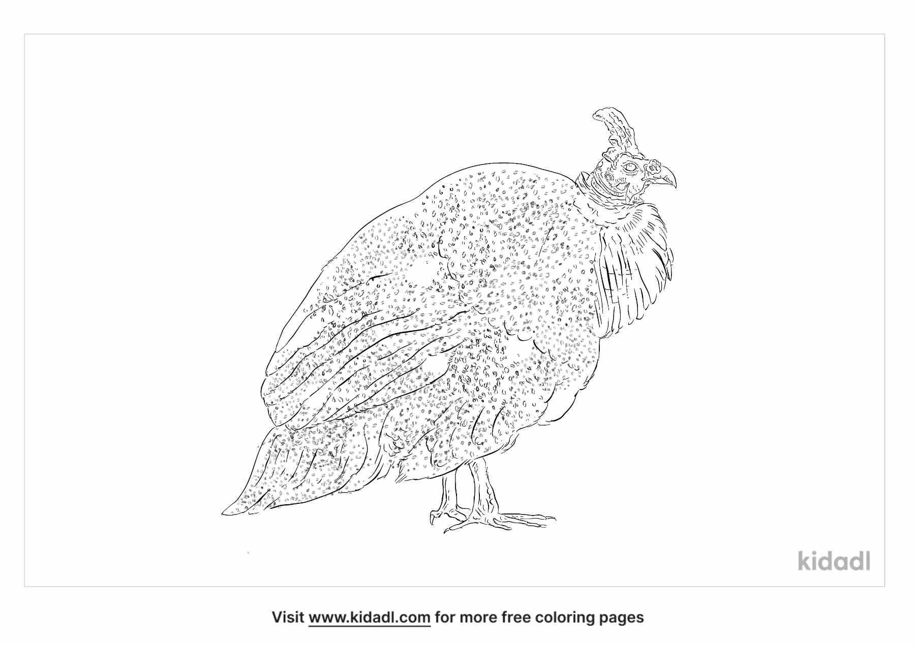 Helmeted Guineafowl coloring pages for kids.