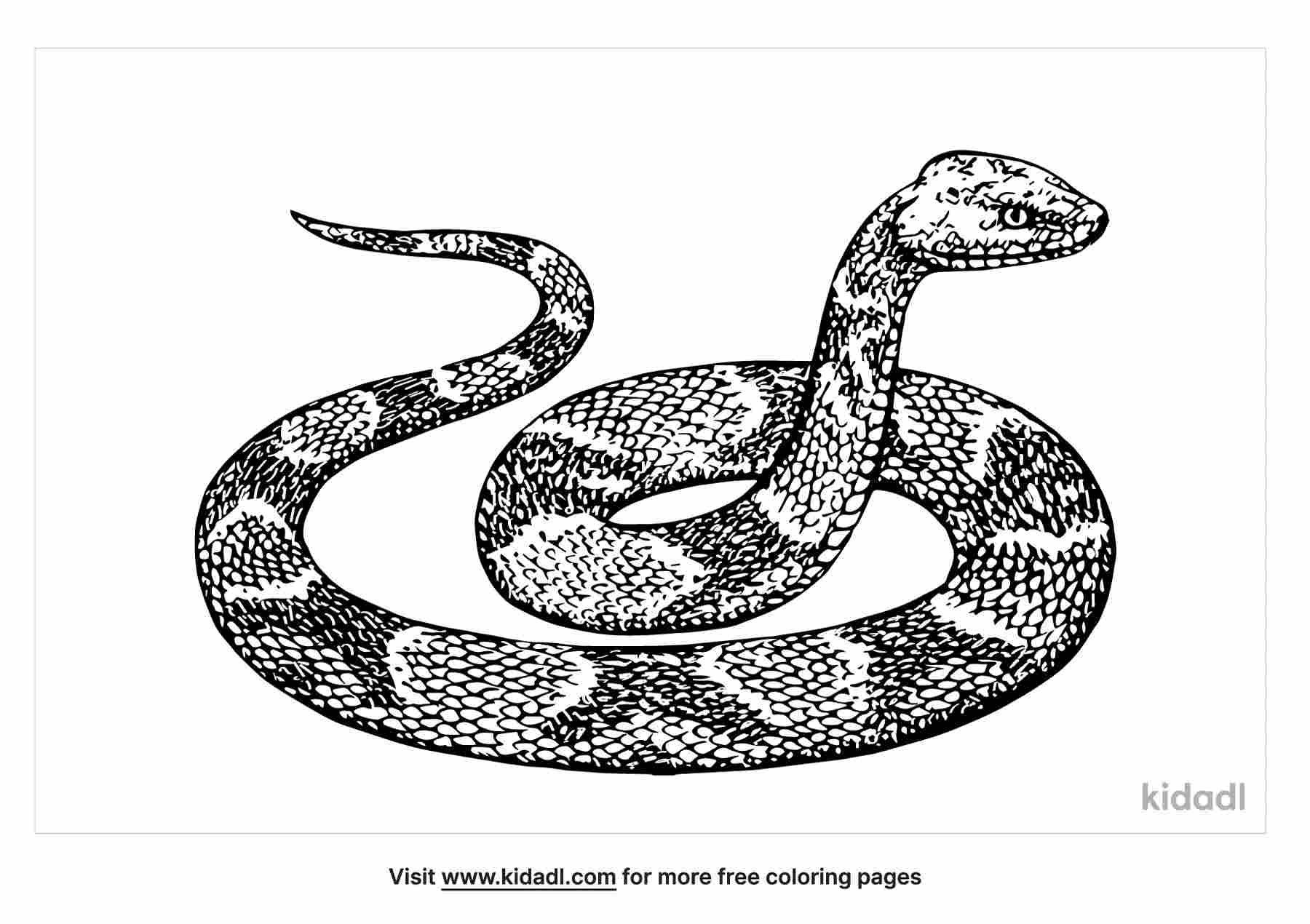 Download this python coloring page.