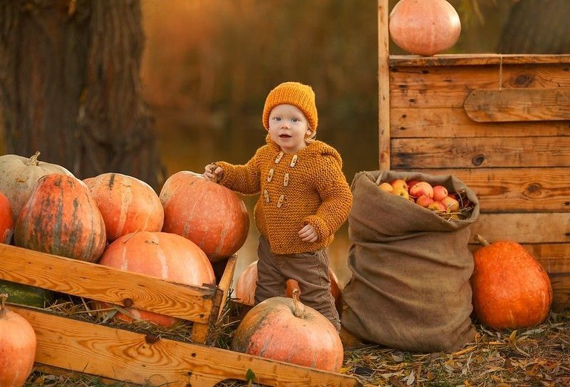 Cute small baby boy is staying near a lot of pumpkins in ginger sweater