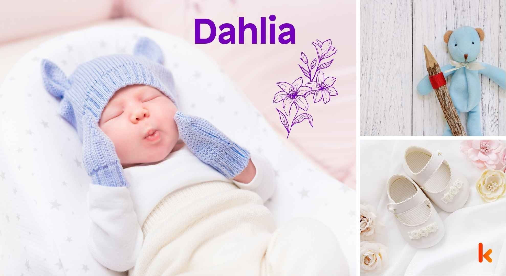 Meaning of the name Dahlia