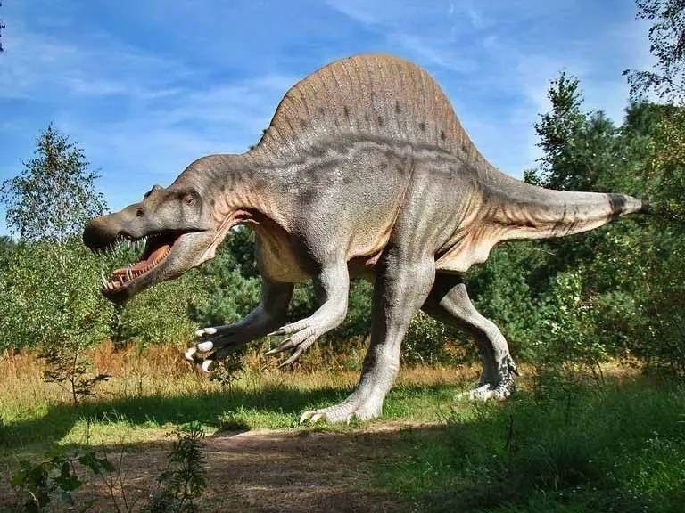 Dinosaur Fun Facts, Habitat, Lifespan