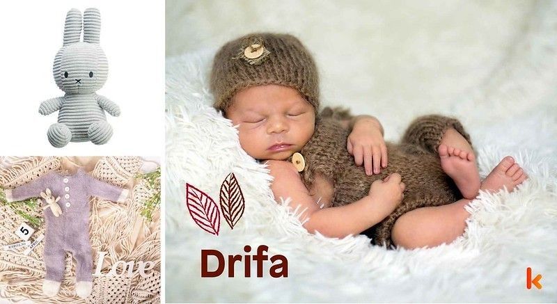 Meaning of the name Drifa