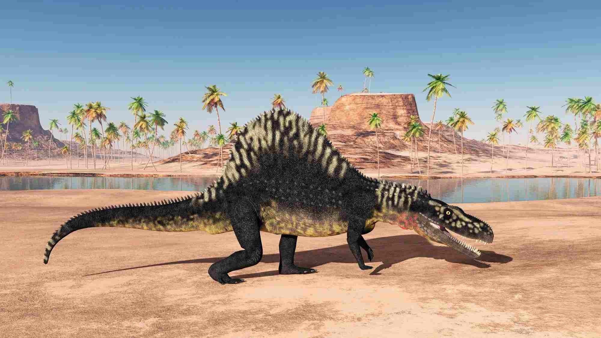 The fossils of Arizonasaurus babbitti were found in the rock strata