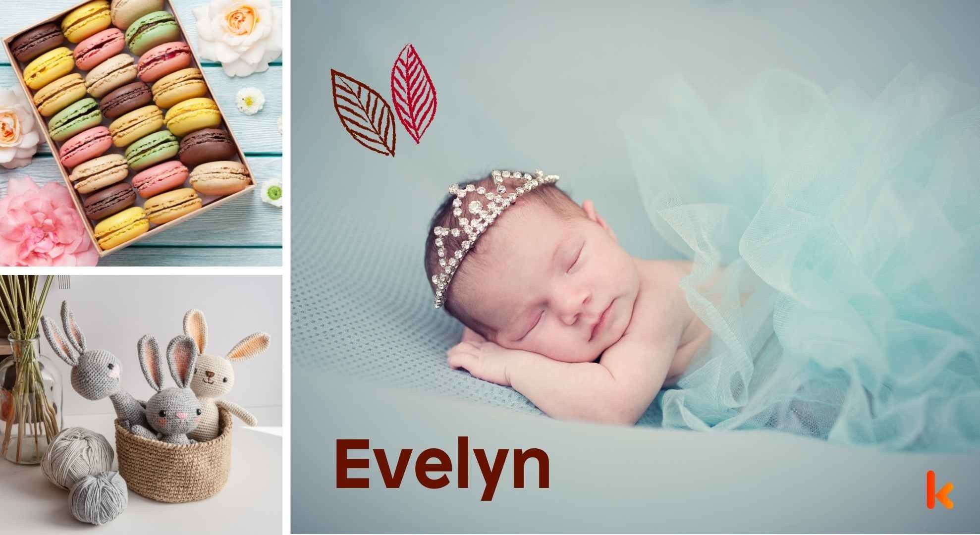 Meaning of the name Evelyn