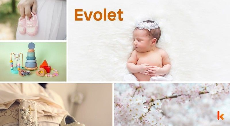 Meaning of the name Evolet