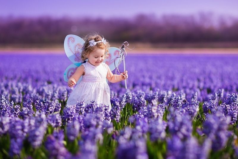 Cute curly little girl in flower crown and fairy costume with wings and magic wand playing in hyacinth field in Holland.