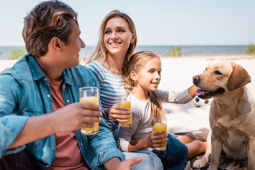 Family with golden retriever holding orange juice on beach.