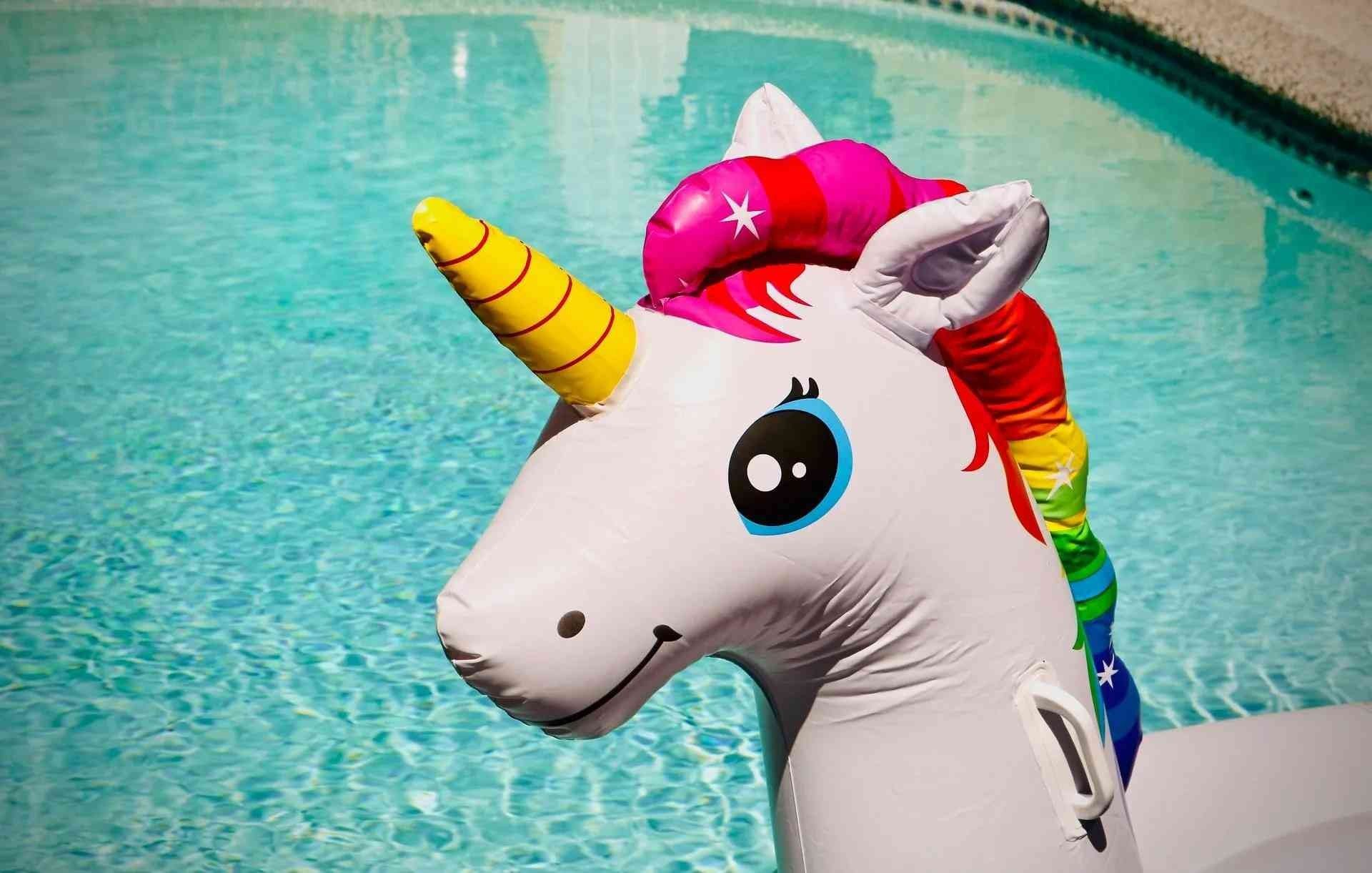 A unicorn floatie in pool