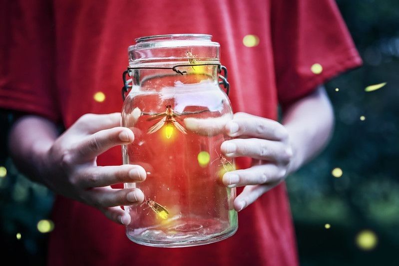 Fireflies caught in a glass jar