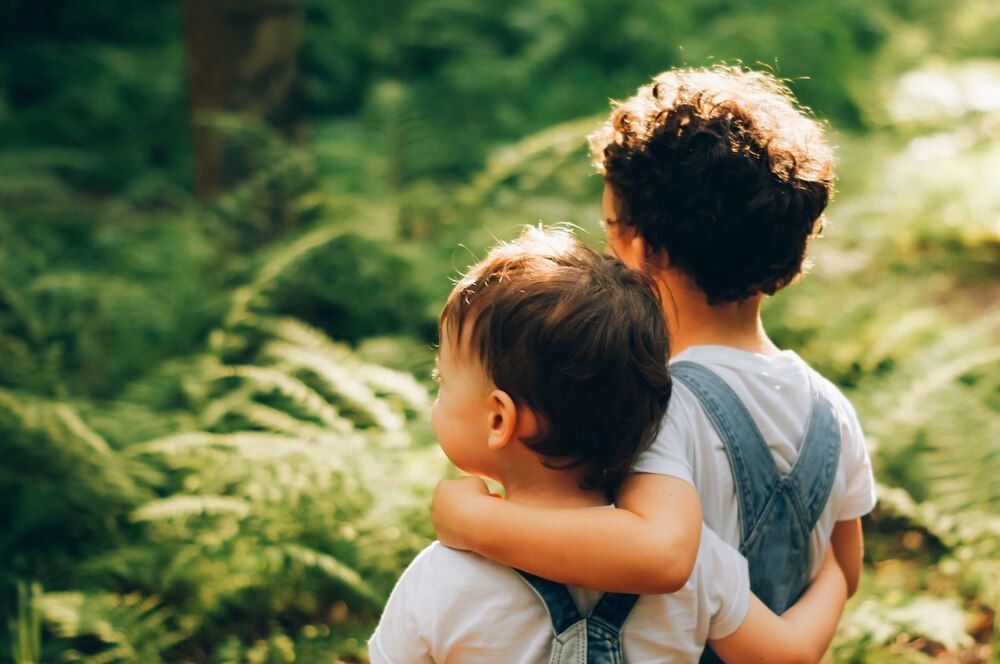 Two little boys, friends hug each other in summer sunny day in the forest.