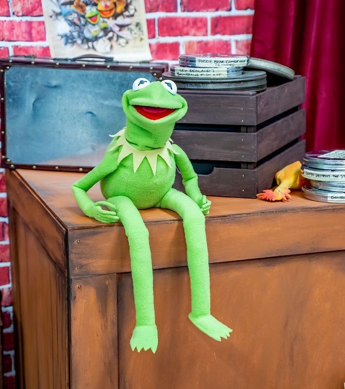 Frog puppet sitting on table