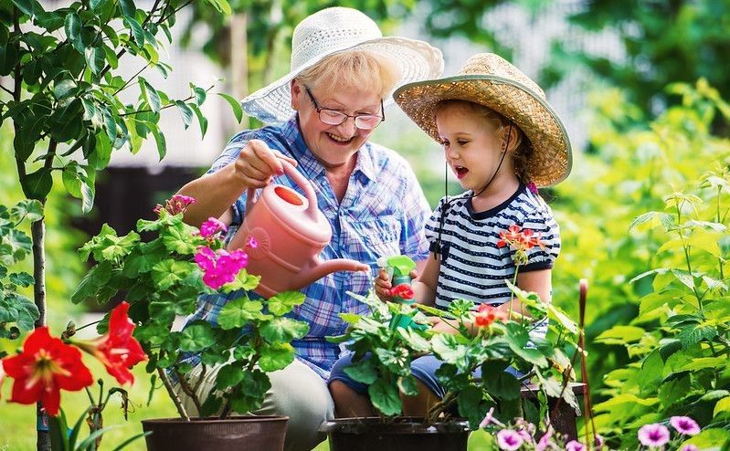 Grandmother and her grandchild enjoying in the garden with flowers.