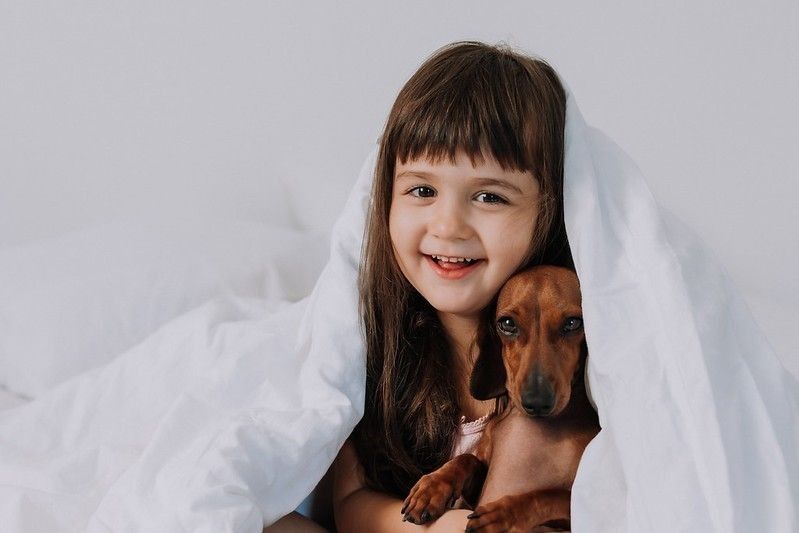 Little girl with dog in white blanket