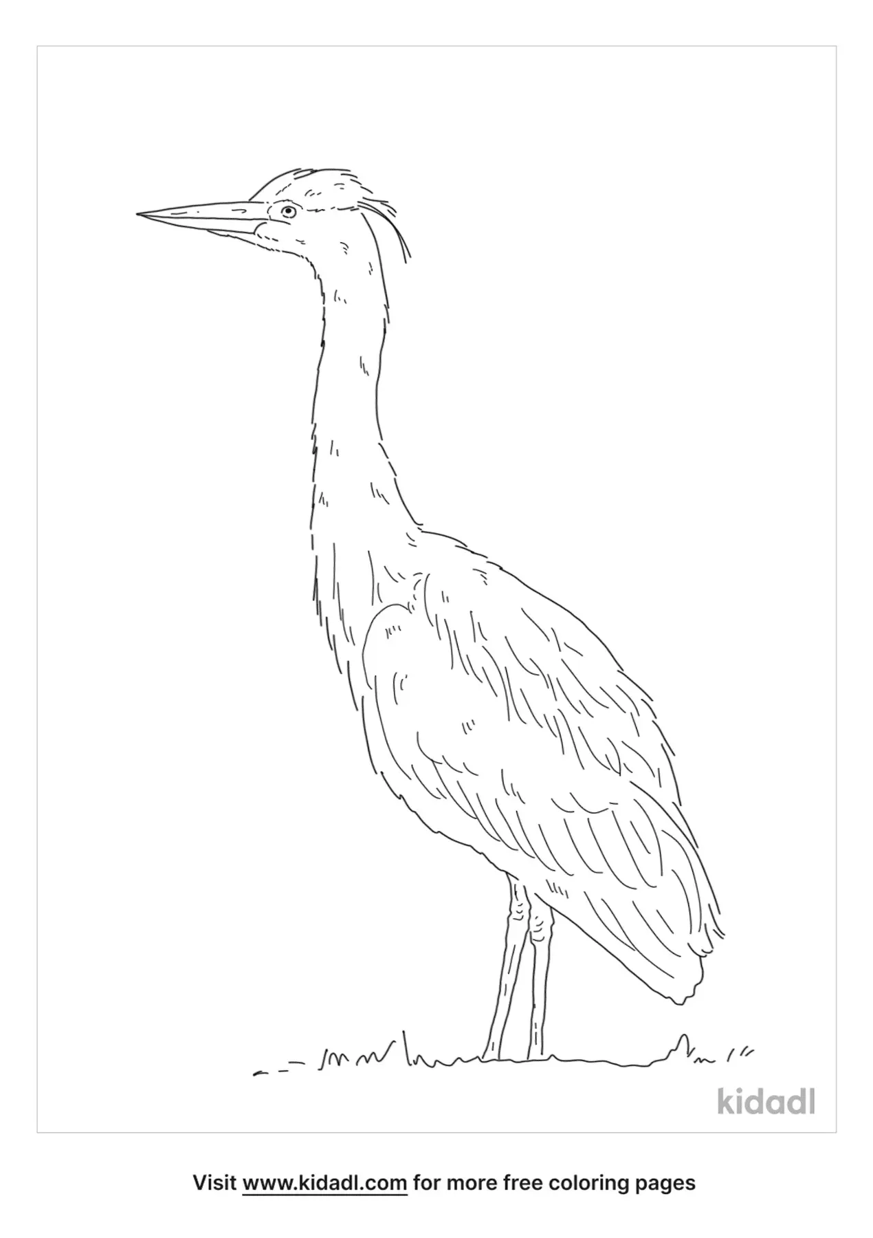 Free Grey Heron Coloring Page | Coloring Page Printables | Kidadl