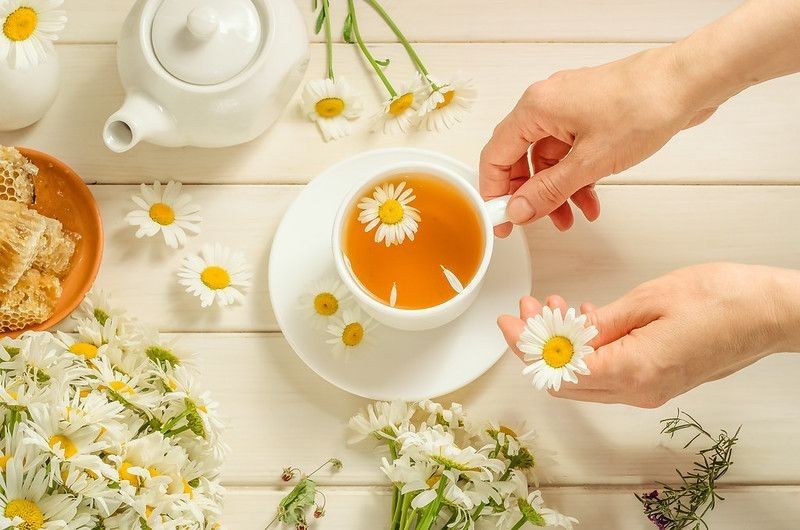 Woman brews herbal tea with chamomile