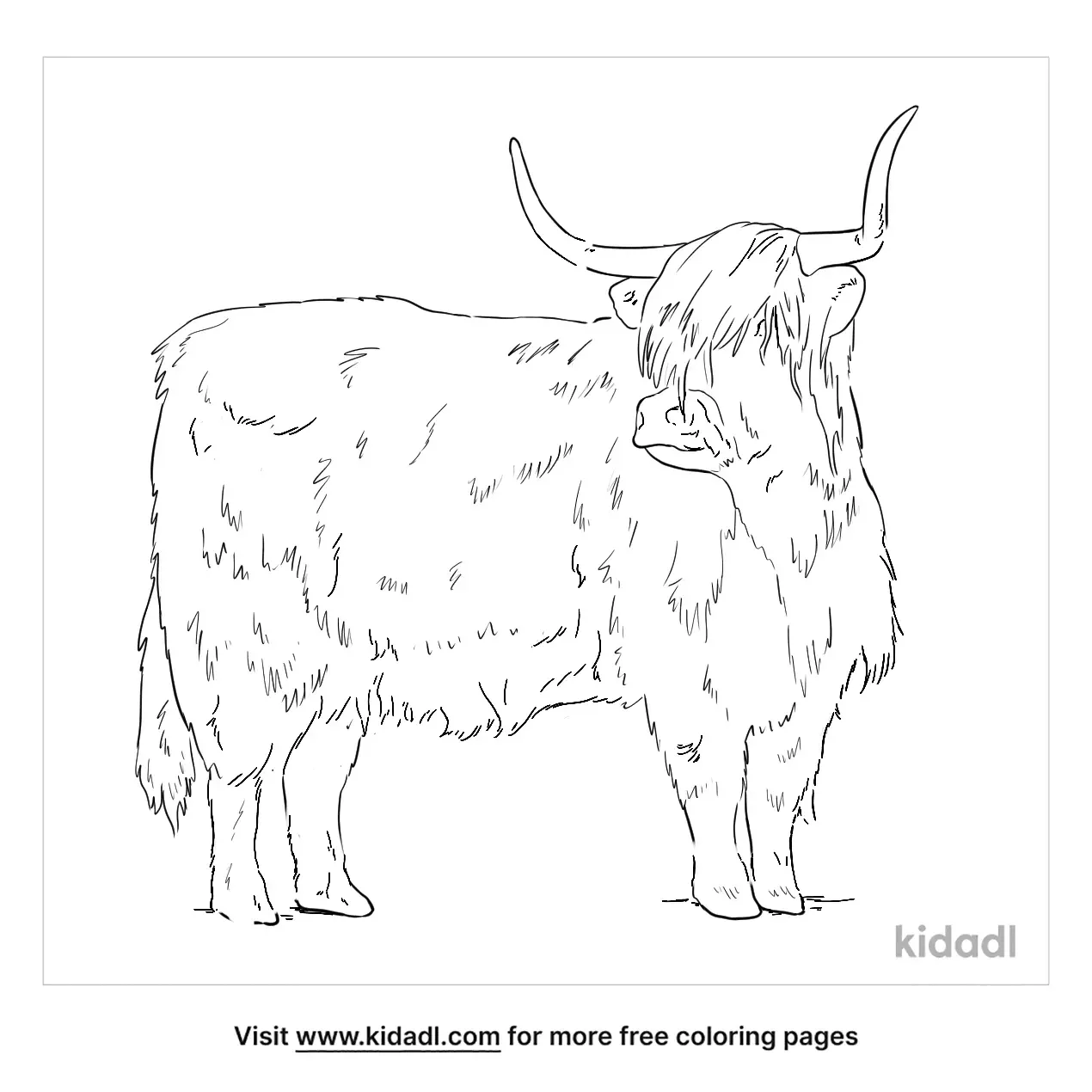 Free Highland Cattle Coloring Page | Coloring Page Printables | Kidadl