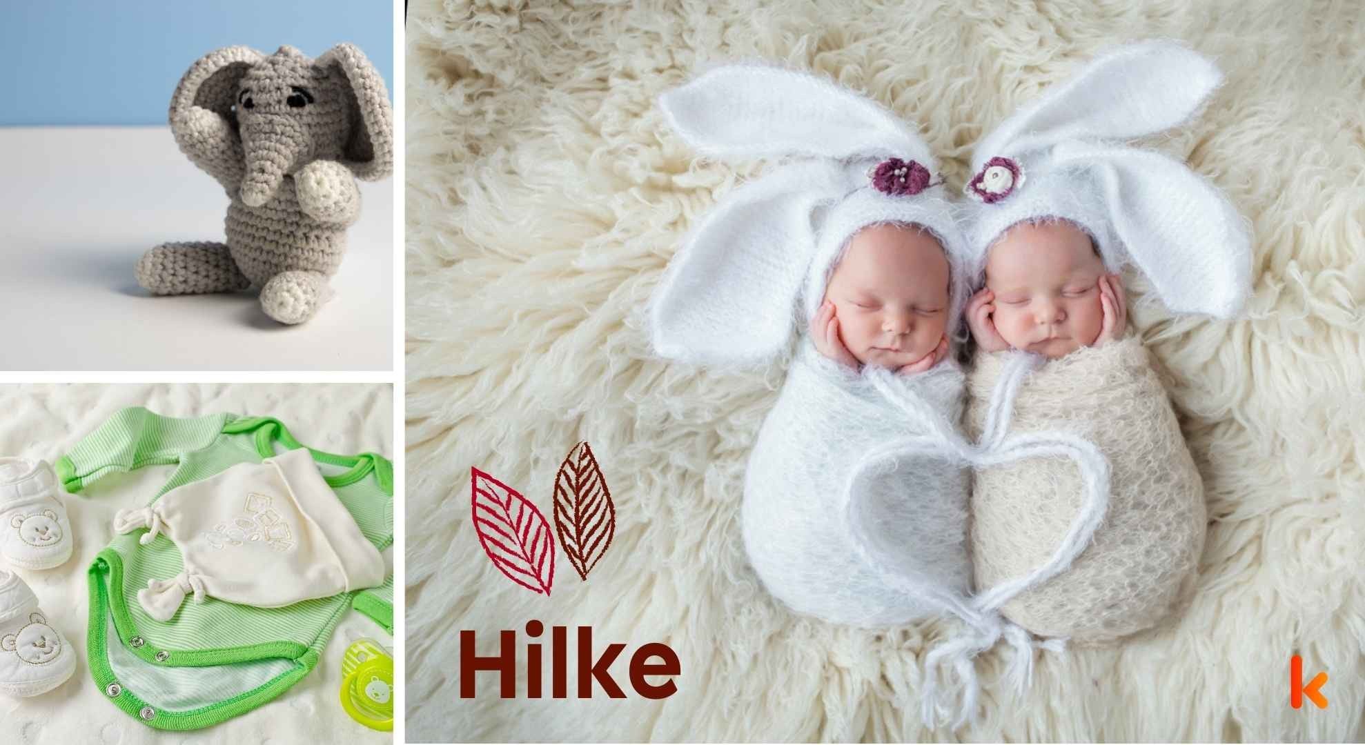 Meaning of the name Hilke