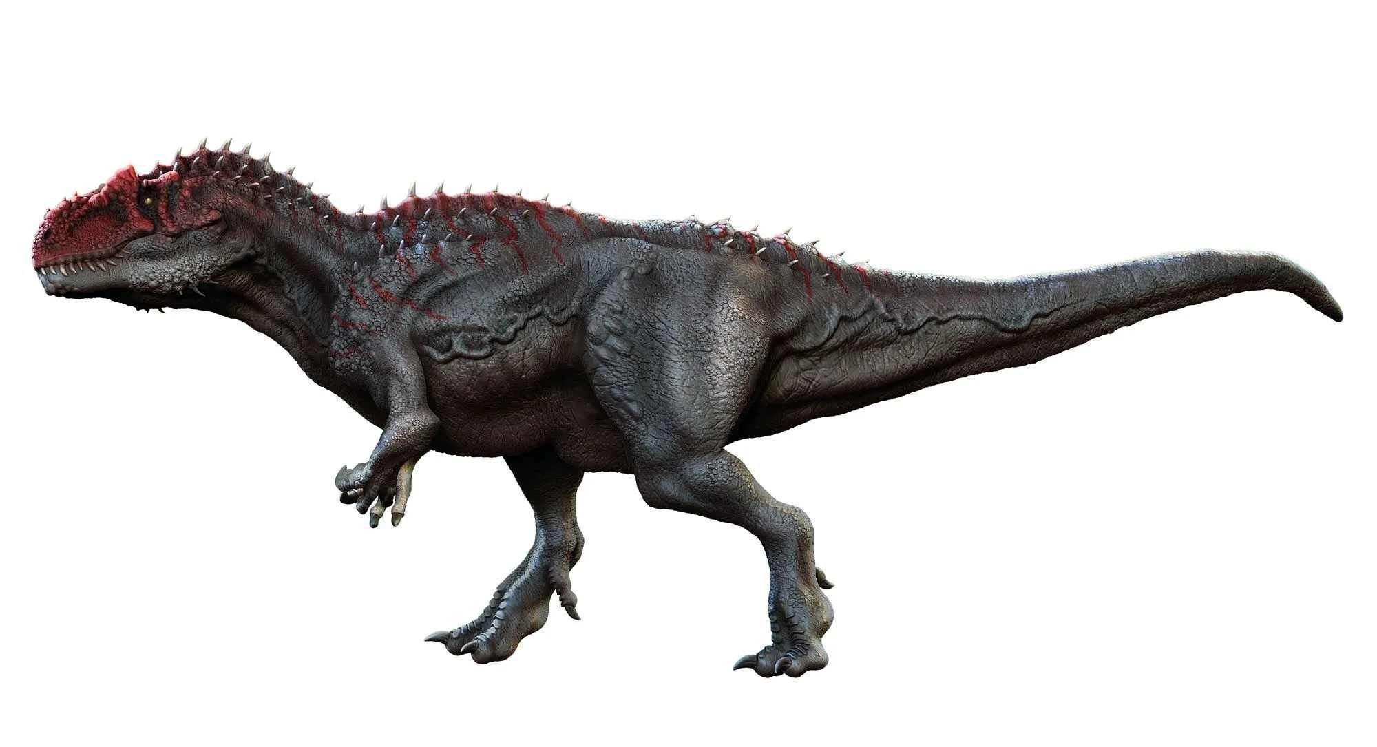 Saurophaganax was a carnivorous therapod.