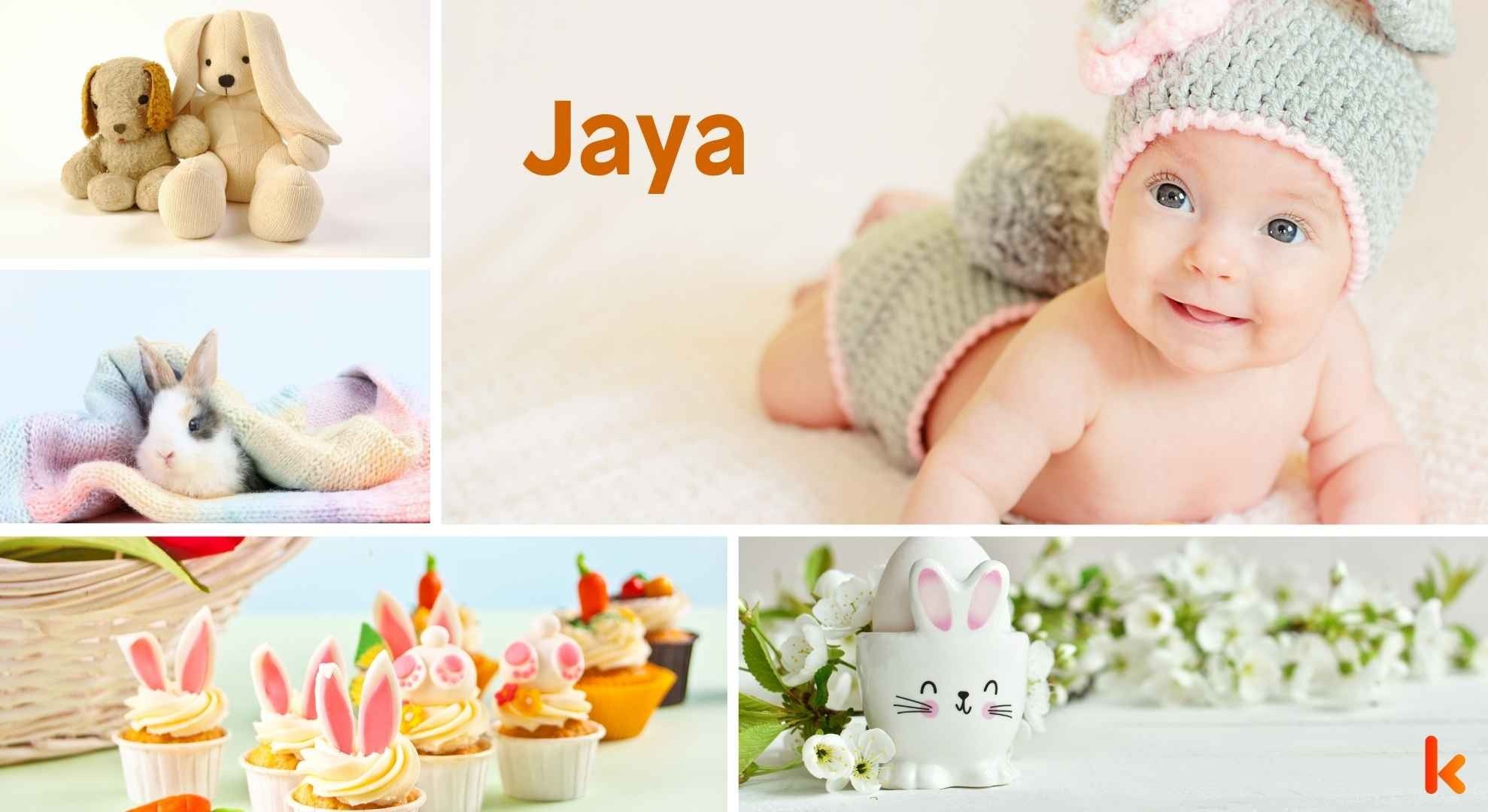 Meaning of the name Jaya