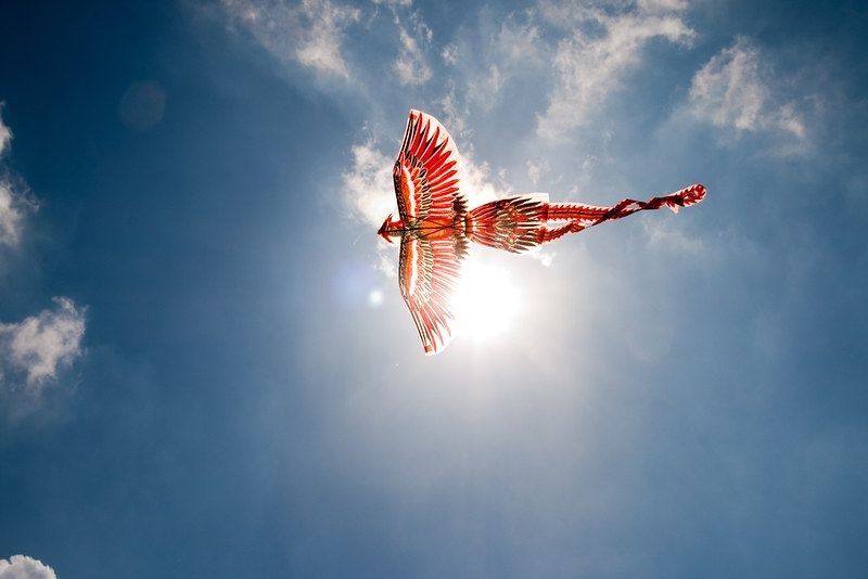 phoenix shaped kite in sky