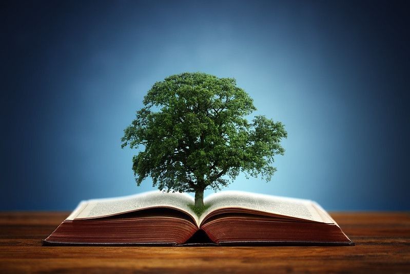 Book and a tree showing knowledge concept.