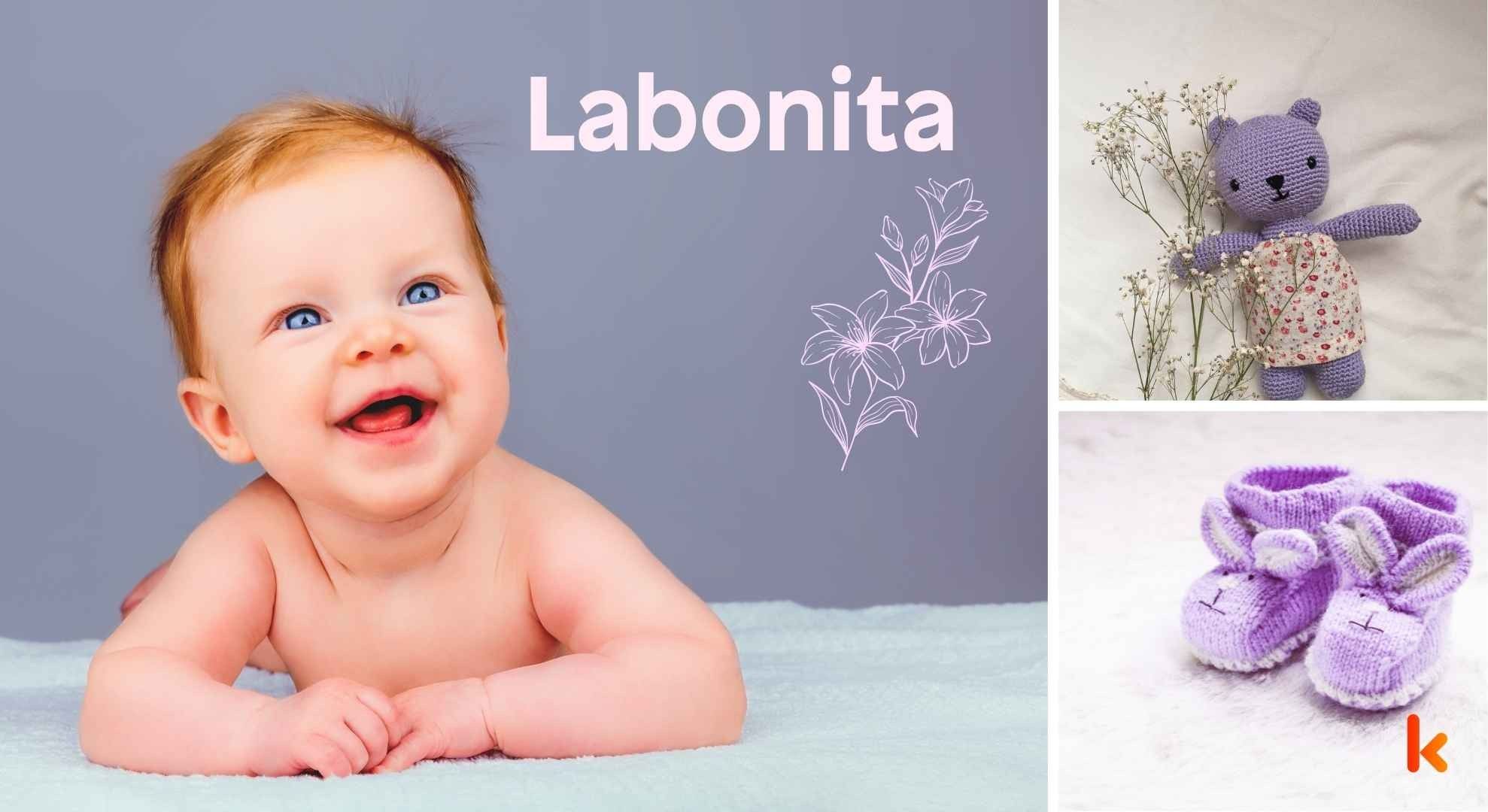 Meaning of the name Labonita