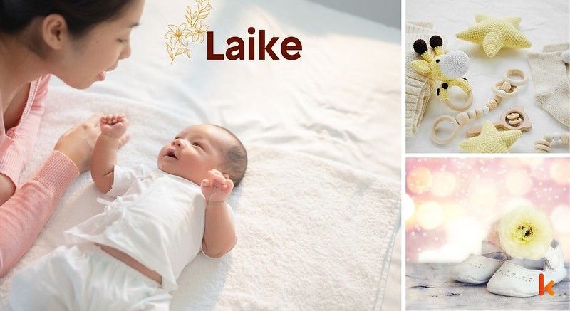Meaning of the name Laike
