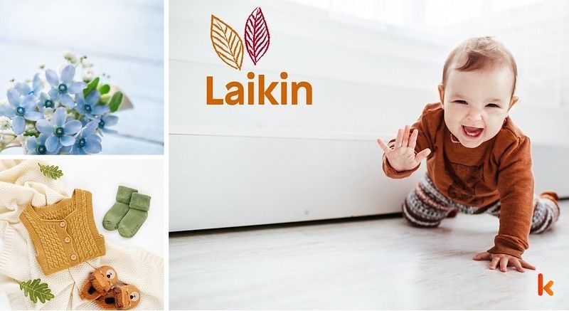 Meaning of the name Laikin