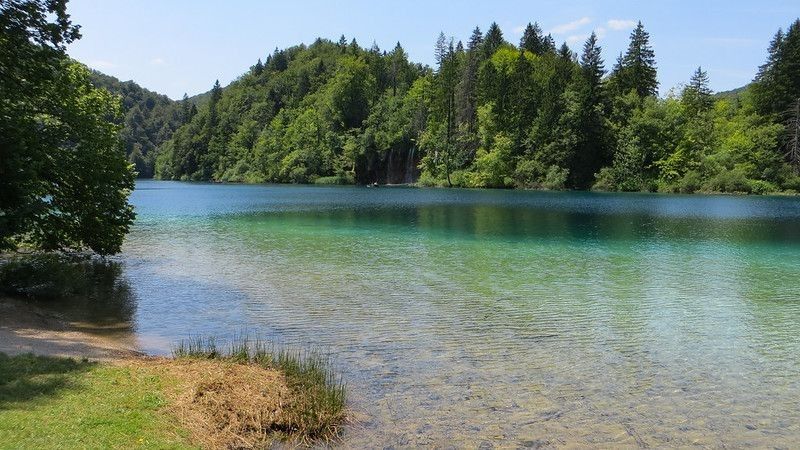 Lakeside view of clean lake.