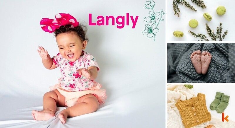 Meaning of the name Langly