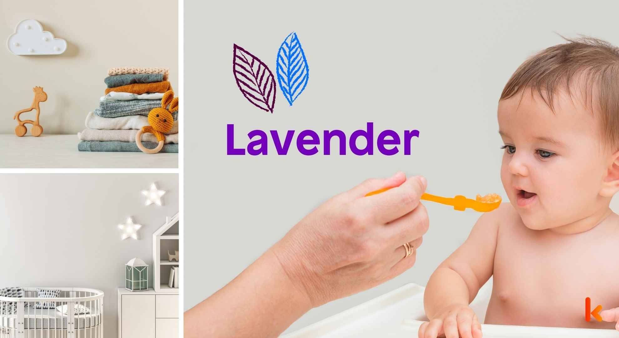Meaning of the name Lavender