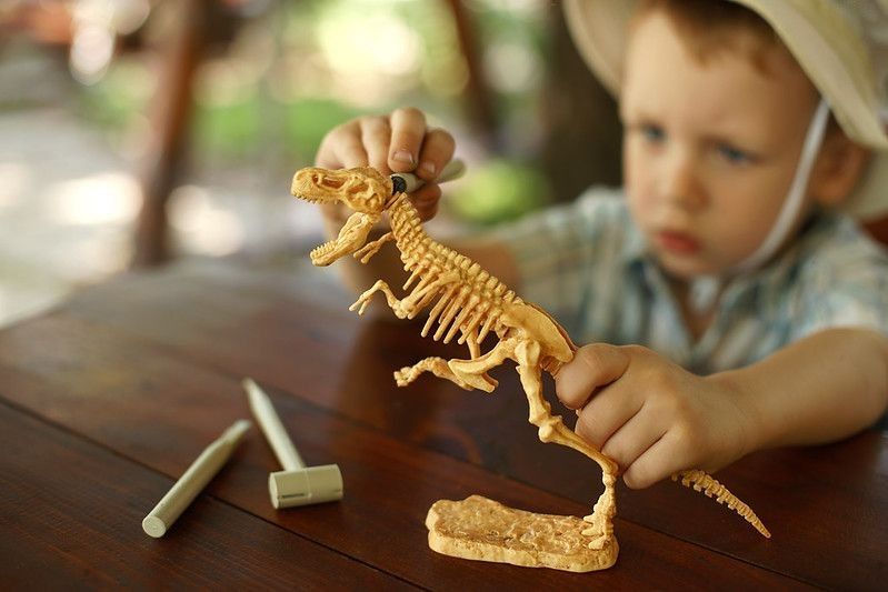 Young boy playing with dinosaur skeleton model.