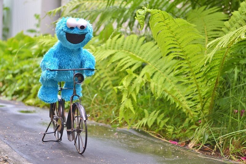 Cookie monster riding bicycle